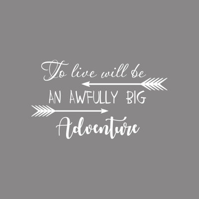 Non-Wall Damaging Wall Decal