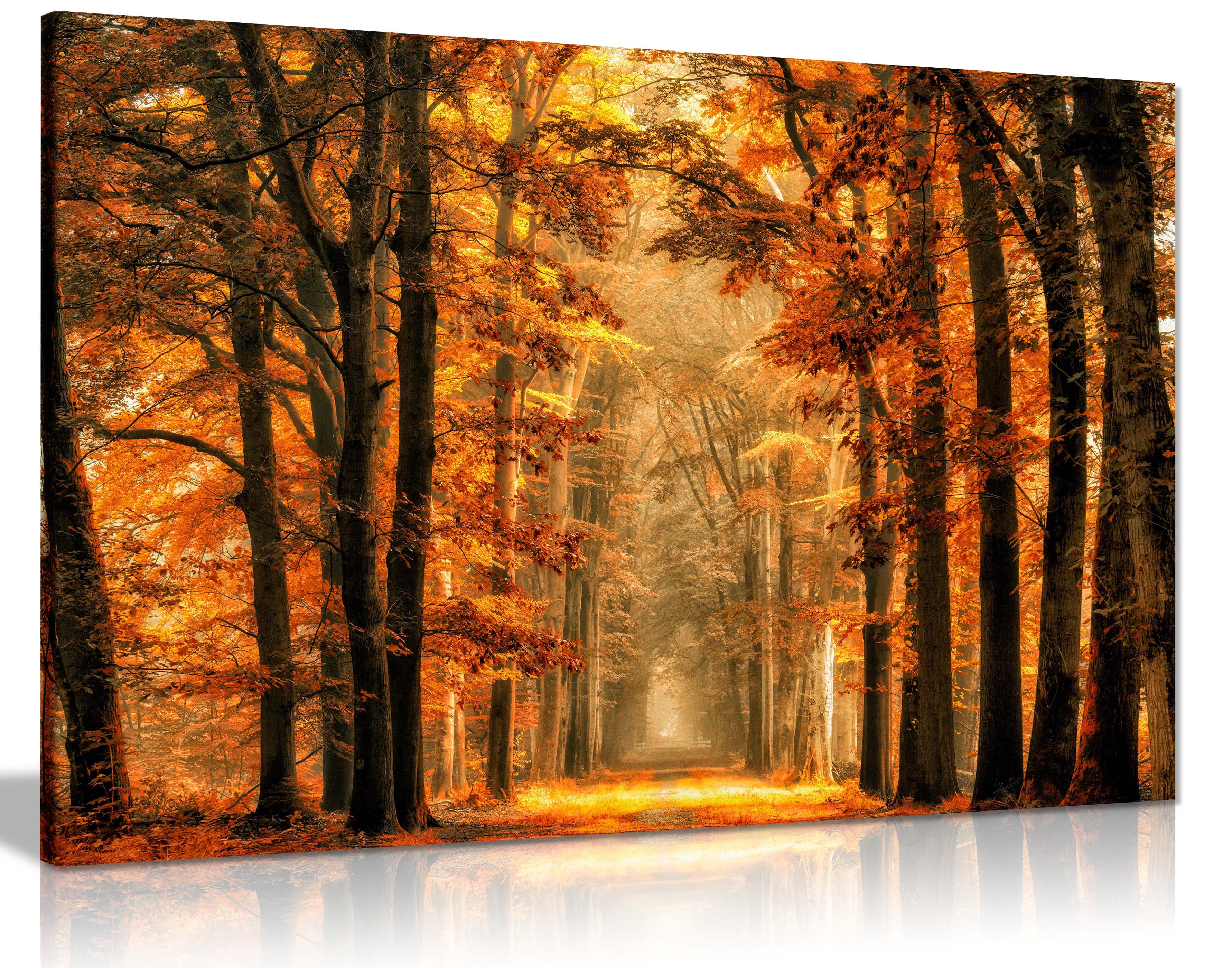 Union Rustic Fairytale Forest in Autumn - Wrapped Canvas Photograph ...