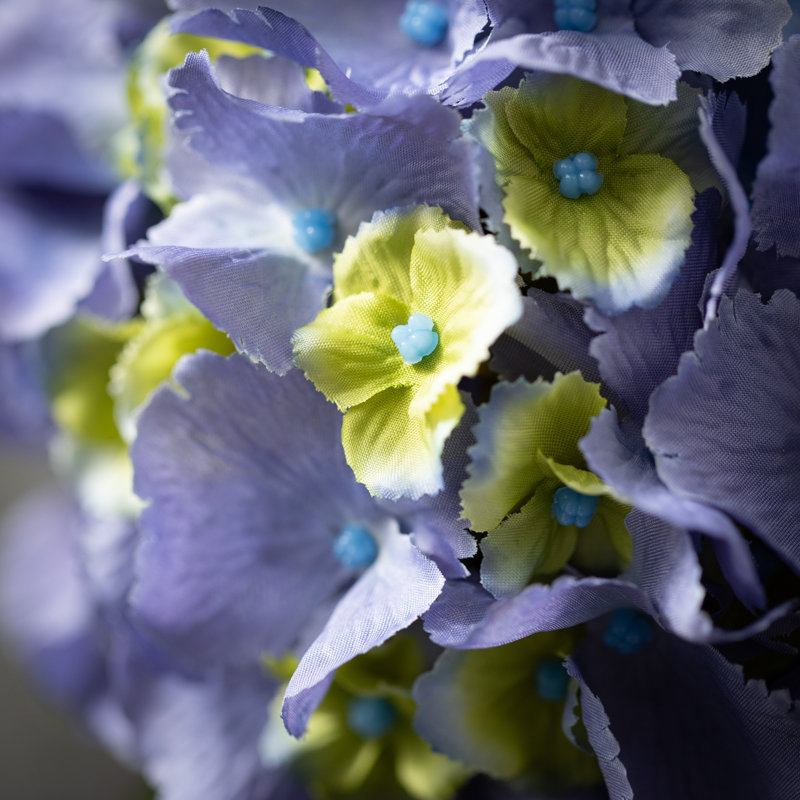 Mcnulty Hydrangea Arrangement, Blue