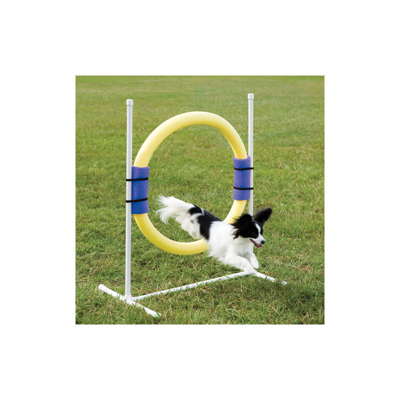 Ring Jump