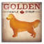 «Golden Dog At Show No VT» par Ryan Fowler-2022038959