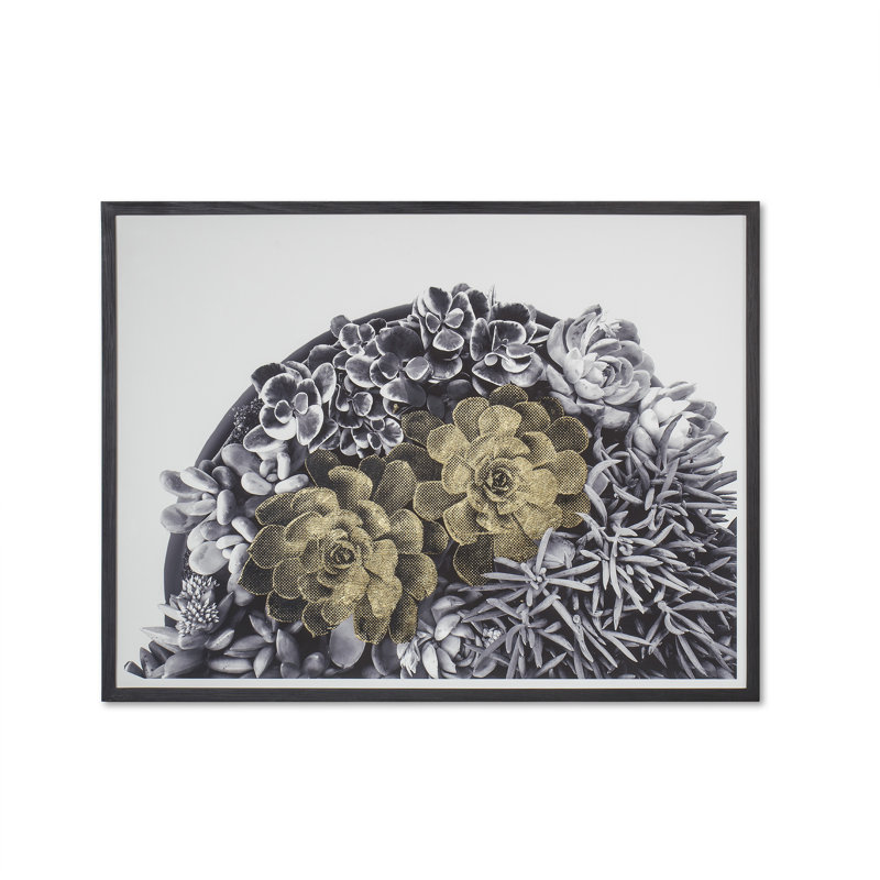 Succulent Garden A Print