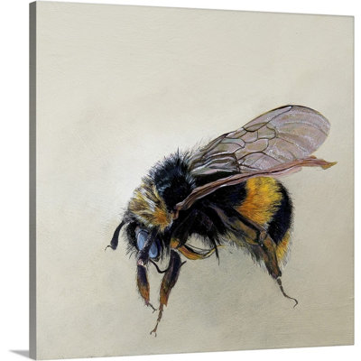 " Bombus Terrestris 1 (B), 2008 " Painting Print