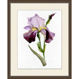 Iris 2 Print