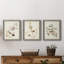 Pl. 194 Canadian Titmouse - Ensemble de 3 reproductions d'art sur toile-820057487-820057484