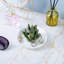 Ceramic Dish Ring Holder