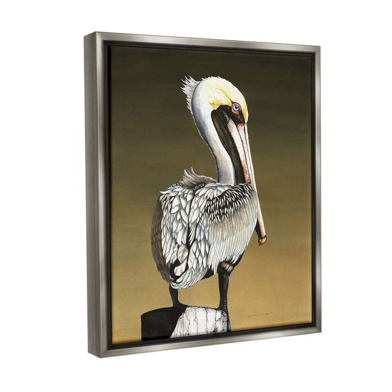 «Pelican With Intense Gaze» par Christine Reichow sur, Cadre flottant gris lustré, H 21 po x l 17 po