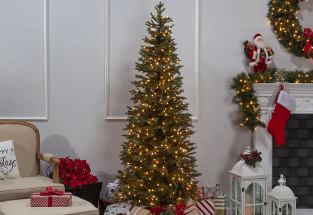 Top-Rated Christmas Trees