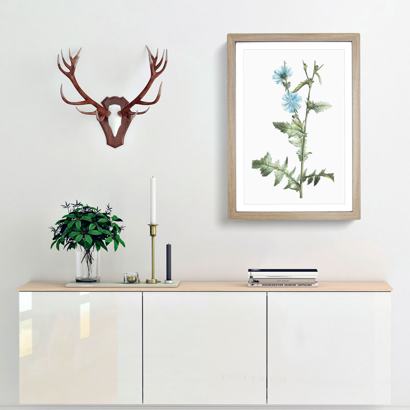 Chicory Flowers by Pierre-Joseph Redoute - Picture Frame Painting Print, 36cm H x 27cm W x 2cm D, Oak Framed