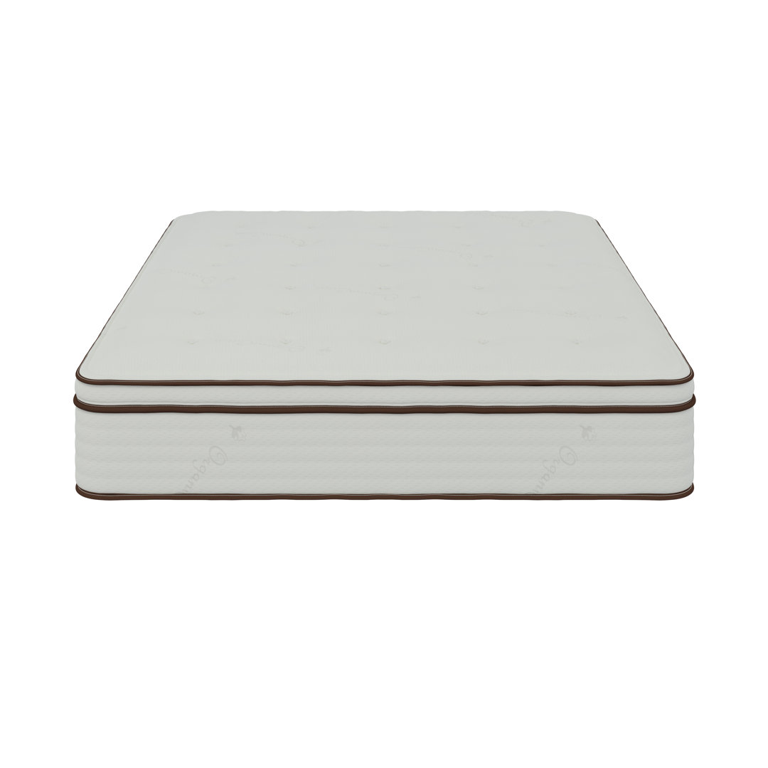 Biasco Plush Mattress Alwyn Home Mattress 