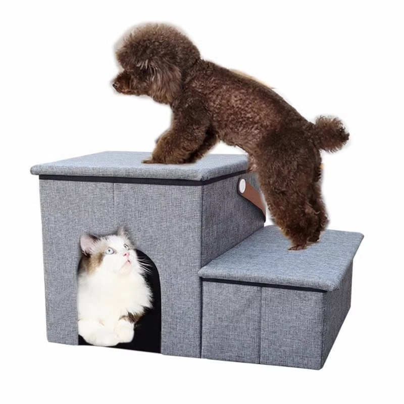 Escalier pour chien avec fenêtre