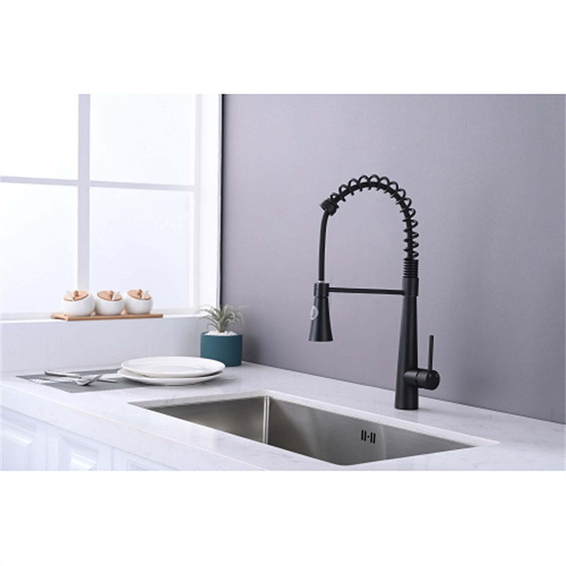 Red Cloud Pull Down Kitchen Faucet