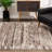 Ivory And Brown Retro Mod Area Rug-377723383