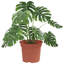 Round Flower Pot 6 Pcs Plastic-701502282-701502281