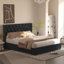 Lit rembourré en velours avec 4 tiroirs de rangement Better Home Products Izayah-812012411-812012408