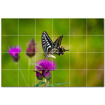 Butterfly Photo 12'' x 12'' Satin Ceramic Decorative Mural -  Picture-Tiles.com, PT500277-64XL