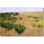 Carrelage mural décoratif en céramique 72 po x 48 po 12 po x 12 po