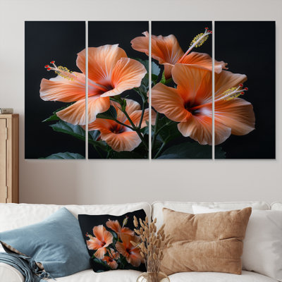 Hibiscus rose et noir