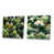 Toile tendue