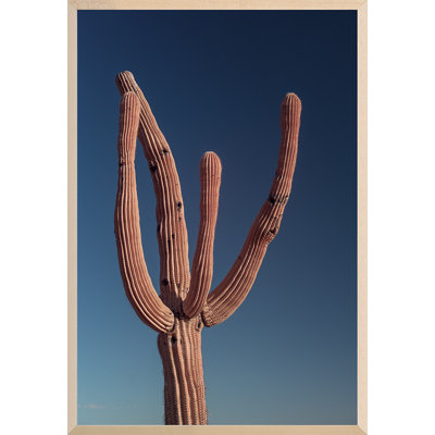 Phoenix, Arizona 14 Print by August Studios