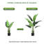 Plant-1598778491-1598778485