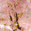 Plastic, Silk Artificial Arrangement in Planter-88443231