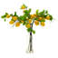 Orange Spray, Box Of 6 - 30 Inches-1457043917