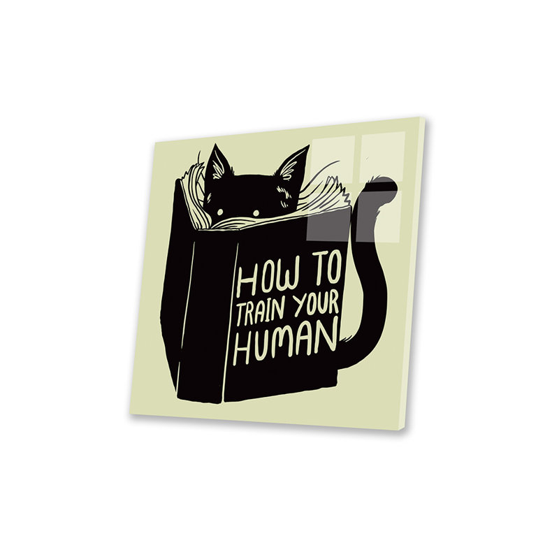 How To Train Your Human Print On Acrylic Glass