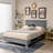 Himnish Upholstered Platform Bed-1527294111