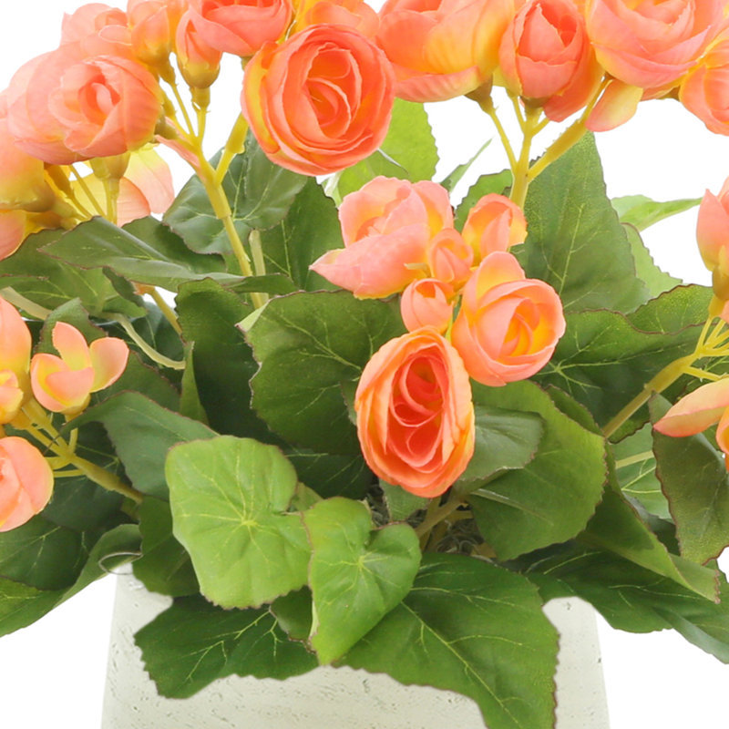 Begonia Floral Arrangement, Orange, Beige