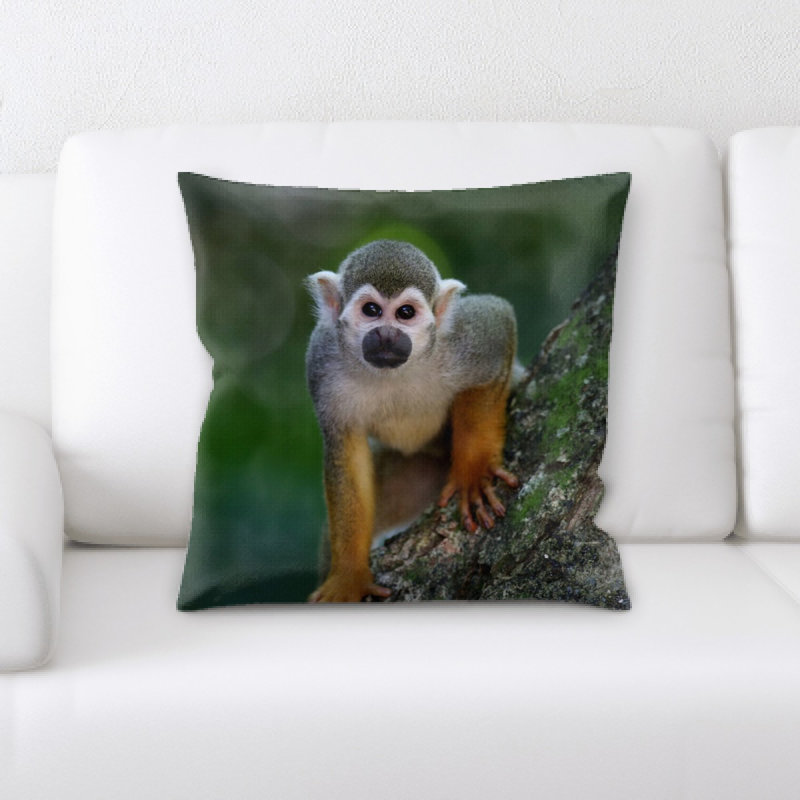 Coussin de singe