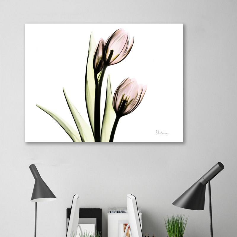 Tulip Love H37 - Wrapped Canvas Print, 61 cm H x 81 cm W