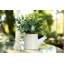Ensemble de 2 pots artificiels en pot 3,87 "