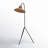 Plumeria 63.75 " Arched Floor Lamp