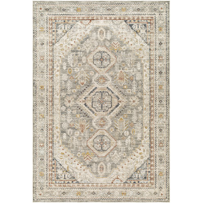Abiella Oriental Indoor Rug