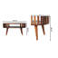 Ariella Solid Wood Coffee Table with Storage