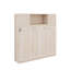 Lit escamotable double avec armoires