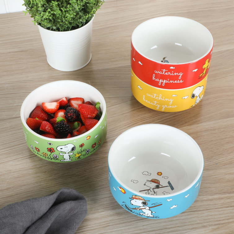 Peanuts Freckled Joy 25oz Stoneware 4 Piece Soup Cup and Lid Set in  Assorted Designs 