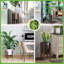 Caez Plant Stand