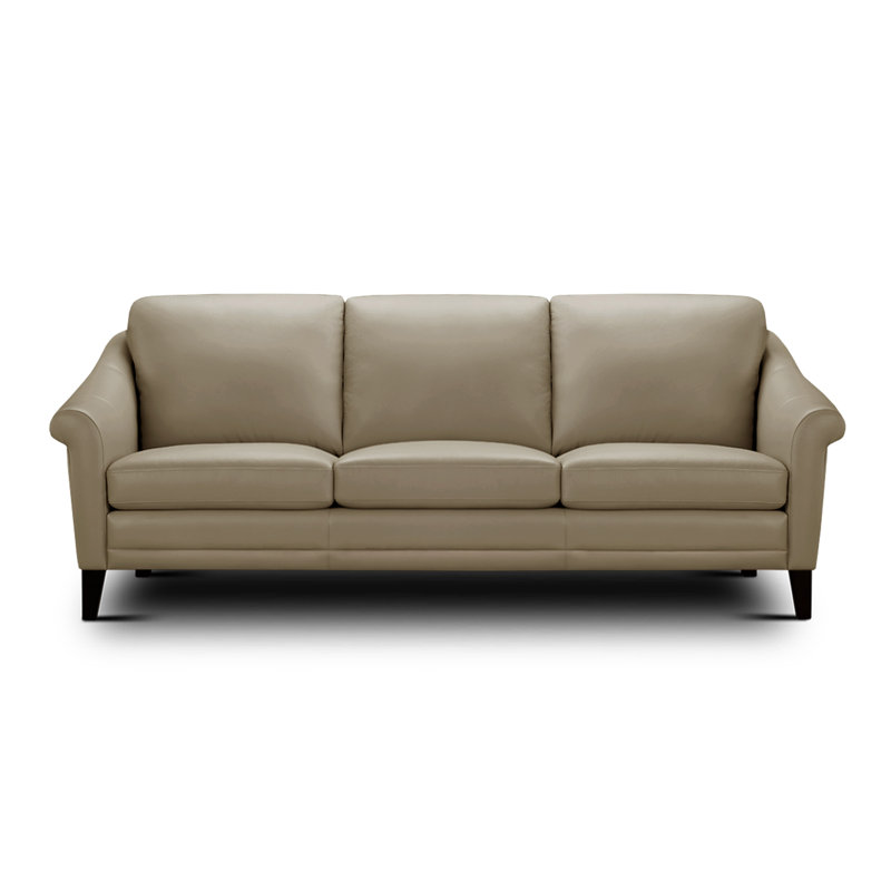 Genuine Leather 61'' Rolled Arm Loveseat, Beige Genuine Leather, 3