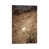 Wrapped Canvas