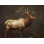 Tapis de bain Regal wapiti