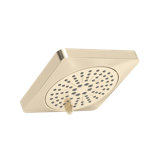 5" 6-Function Showerhead