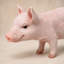 Statue de jardin de cochons