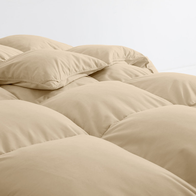 Édredon épais en duvet d'oie blanche, Double/grand, Racine de gingembre