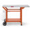 Table de barbecue en acier inoxydable avec roulettes l 43 po x P 20 po Feasto