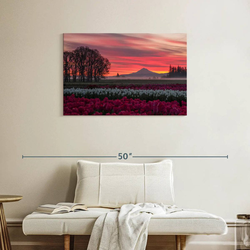 Coucher de soleil sur un champ de tulipes Alvord, H 24 po x l 36 po