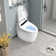 Smart Bidet Toilet Combo with Auto Open Lid and Heated Seat, 4-Flush Ways, Warm Wash/Dryer, LED display (Remote Included)