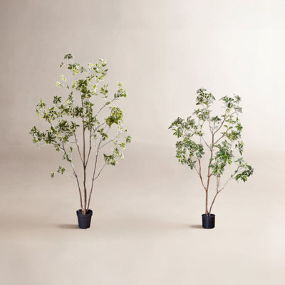Gant Faux Tree