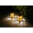 Solar Themed Silhouette Indoor/Outdoor Garden Décor Lantern-91435011